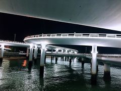 -演武大桥观景平台