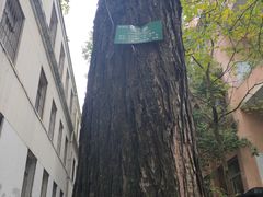 -贵州师范大学(宝山北路校区)