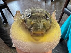 -永安鱼庄·镇江菜(东吴路店)