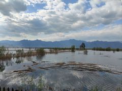 -野鸭湖国家湿地公园