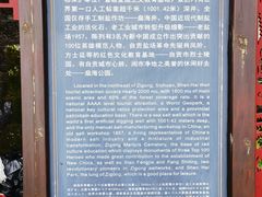 -燊海井