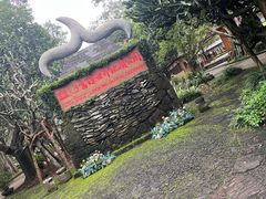 -海口火山口国家地质公园