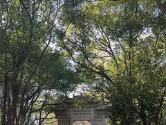 -灵岩山风景区