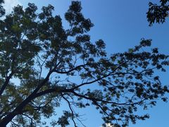 -人民公园(罗湖区)