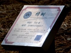 -吴山景区