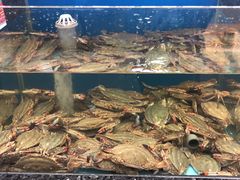 -鸿星花园酒家(银亿家园店)