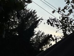 -舊新事咖啡NOTHING NEW COFFEE