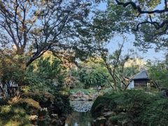 -上海醉白池公园