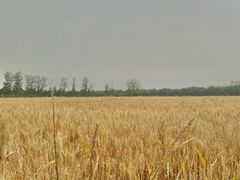 -汉长安城未央宫国家考古遗址公园