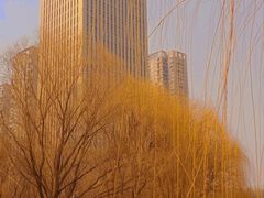 -仙女湖公园