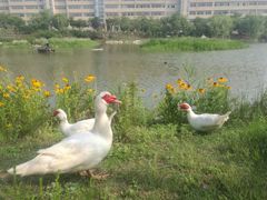 -大连外国语大学(旅顺校区)