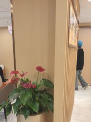 -南京康美美容医院·旗舰店