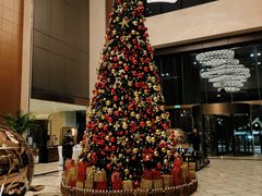 -上海嘉定喜来登酒店