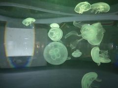 -常州海昌海洋探索馆
