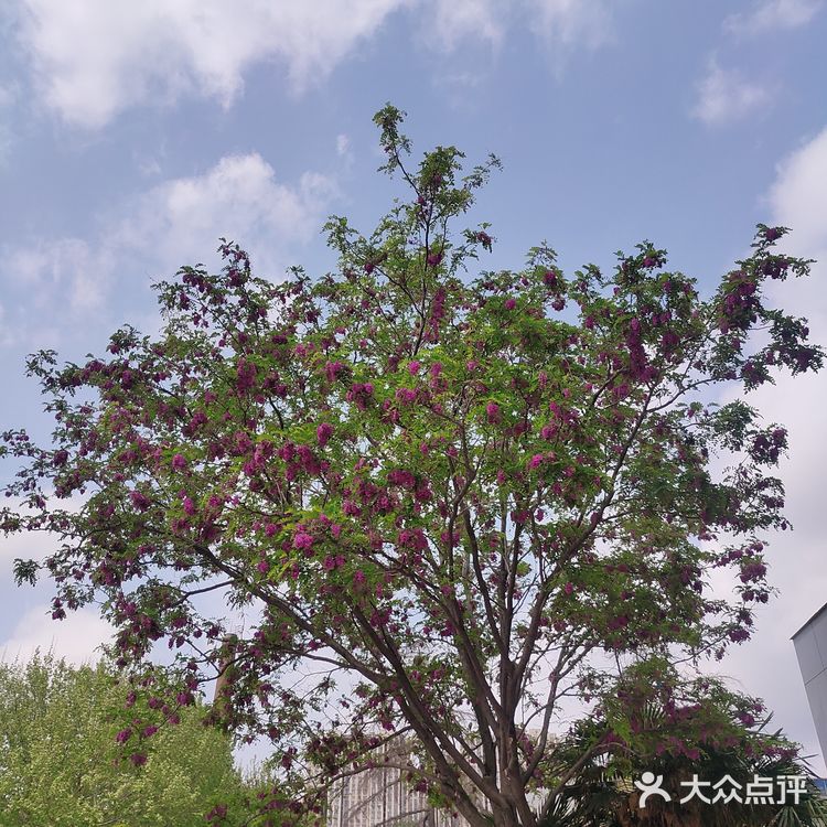 这次tims和苏州博物馆联名没有郑州