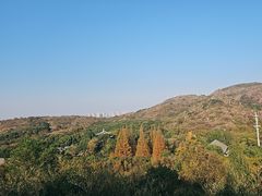 -白马涧龙池景区