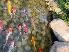 -罗红摄影艺术馆