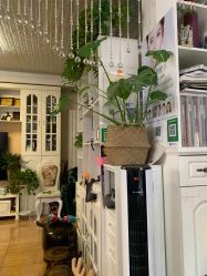 -美甲日记美睫专业纹绣半永久