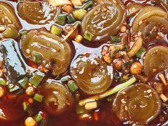 -爪爪西施