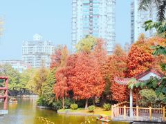 -晓港公园