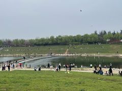 -洨河生态公园