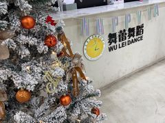 -舞蕾舞蹈(特长生校区)