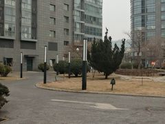 -大姐麻辣烫(莲宝中路店)
