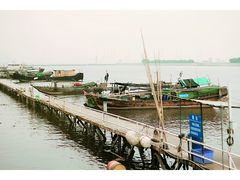 -大湾区中央湿地公园-十九涌