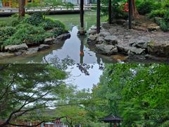 -杭州植物园
