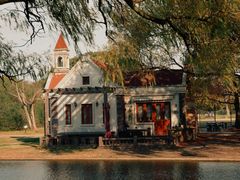 -上海共青森林公园