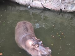 -长鹿旅游休博园