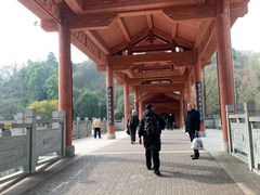 -重庆彩云湖湿地公园