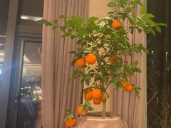 -浙江西子宾馆·瑶园咖啡厅