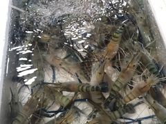 -青石桥市场北1-27号