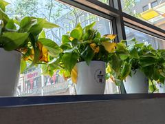 -鱼酷活鱼烤鱼(中联广场店)