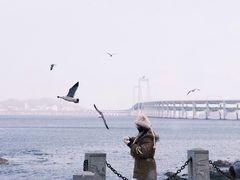 -黑石礁公园