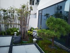 -梅山饭店-中餐厅(梅山路店)