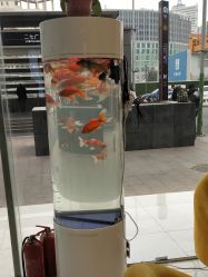 -痘庄科学祛痘皮肤管理国际连锁