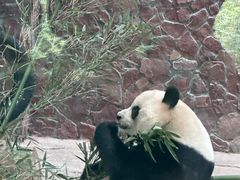 -黔灵山公园