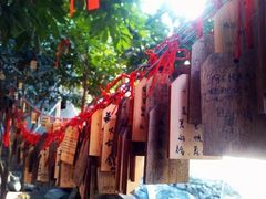 -小洲村