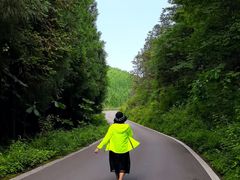 -武陵山森林公园