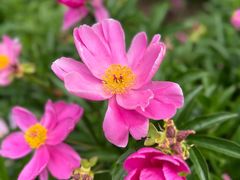 -长春公园(普阳街道)