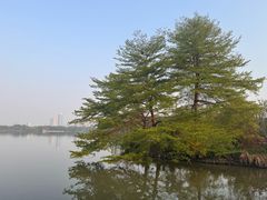 -海珠湖公园