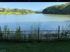 -福建鲤鱼洲酒店