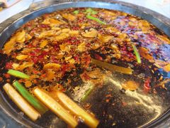 -费明中罗非鱼(大石坝店)