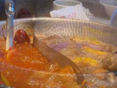 -手选潮汕鲜活牛肉火锅(二七广场店)