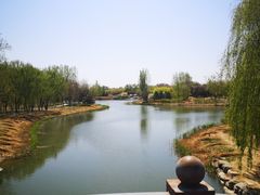 -大兴滨河森林公园