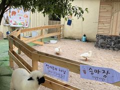 -HERRE·FARM 赫尔露营农场·团建聚会包场