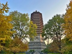 -玲珑塔公园