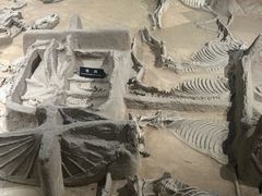 -洛阳周王城天子驾六博物馆